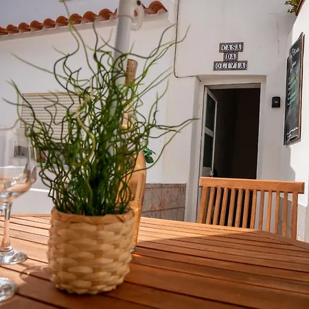 Casa D'olivia בית הארחה קראפטיירה